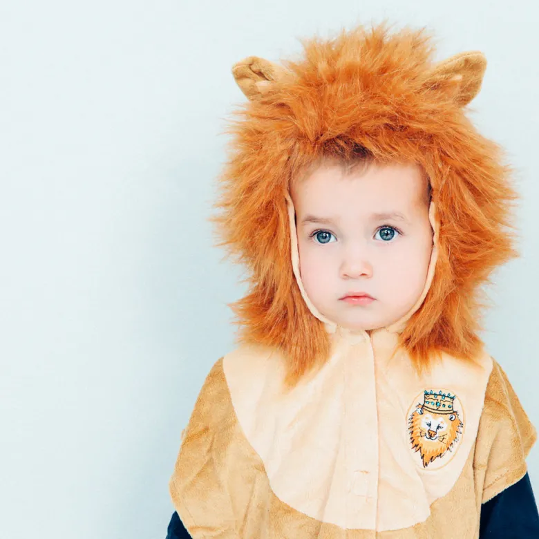 Animal Costume, Lion Cape - Size 92 cm