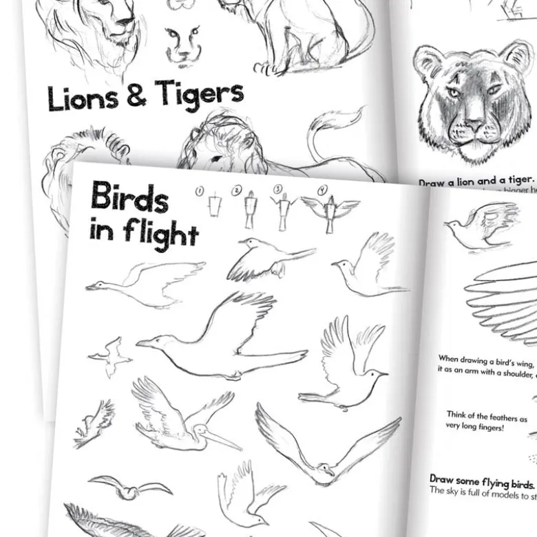 Artbook: Learn to Draw Animals - For Kids Aged 7 and Up