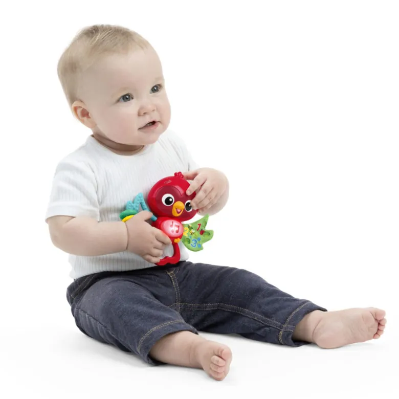 BABY Einstein Activity Toy with Hanging Attachment, Roxy's Bright Flight™