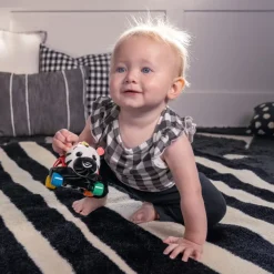 BABY Einstein Baby Toy, Zen Oball Vehicle