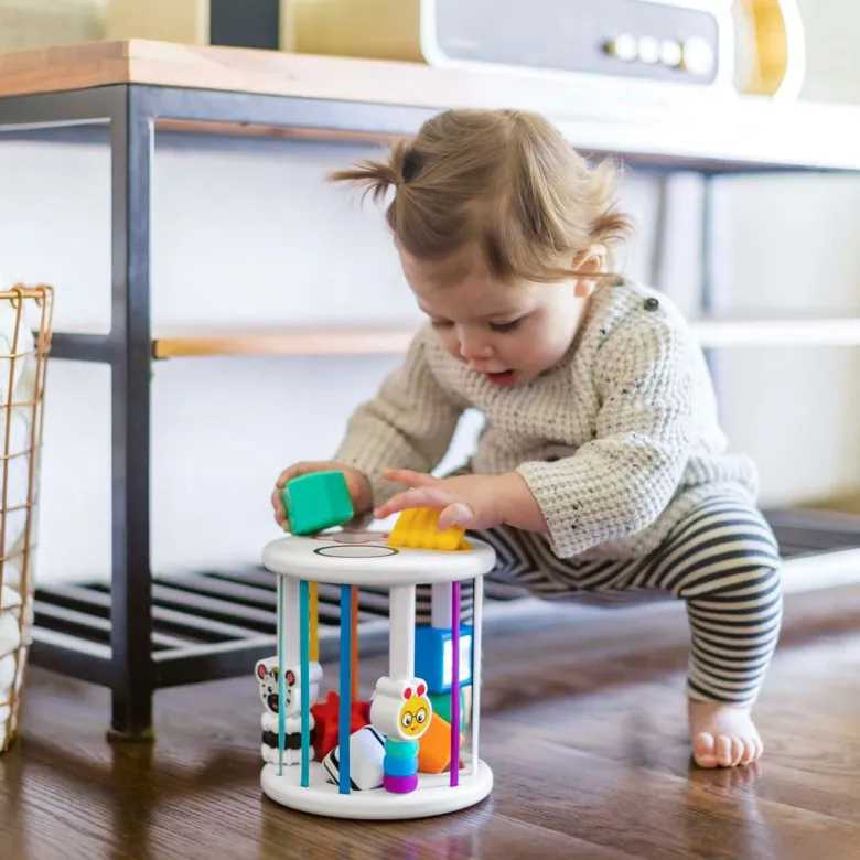 BABY Einstein Zen & Cal's Sensory Shape Sorter Box