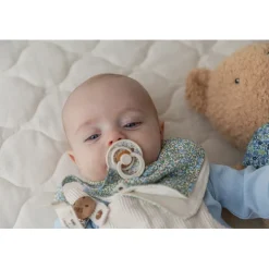 Bibs Liberty, 2-Pack Colour, Natural Rubber Pacifiers, Size 2 - Eloise - Sage Mix