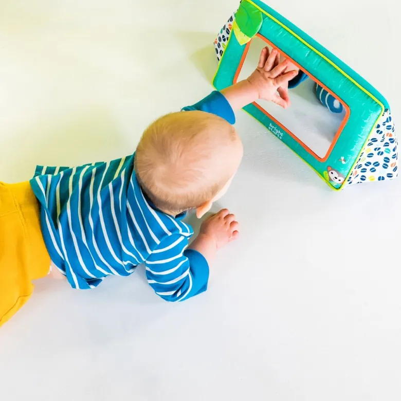 Bright Starts Baby Toy, Safari Mirror