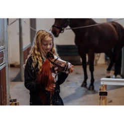 By Astrup Hobby Horse, Coco - Red-brown/white