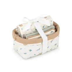 Cam Cam Baby Care Gift Box, OCS - Blueberries