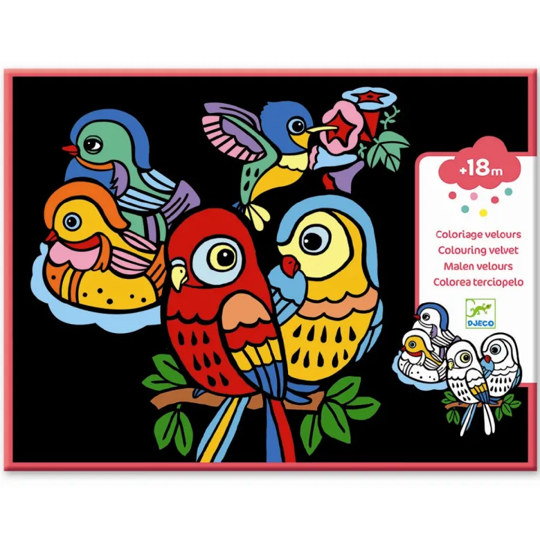 Djeco Creative Set, Velvet Painting for Little Ones - Birds