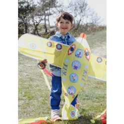 Djeco Kite, Flyer