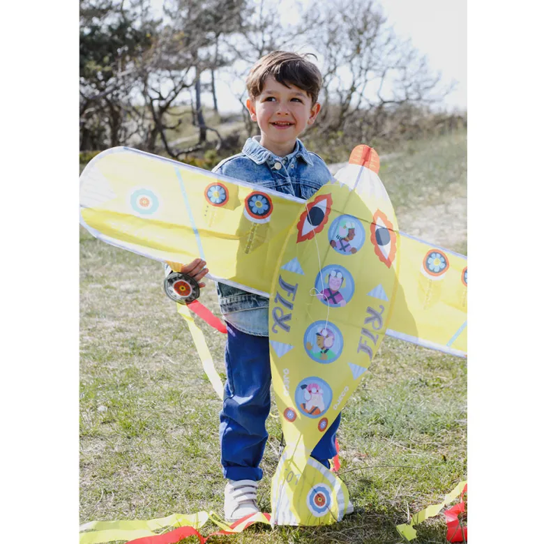 Djeco Kite, Flyer