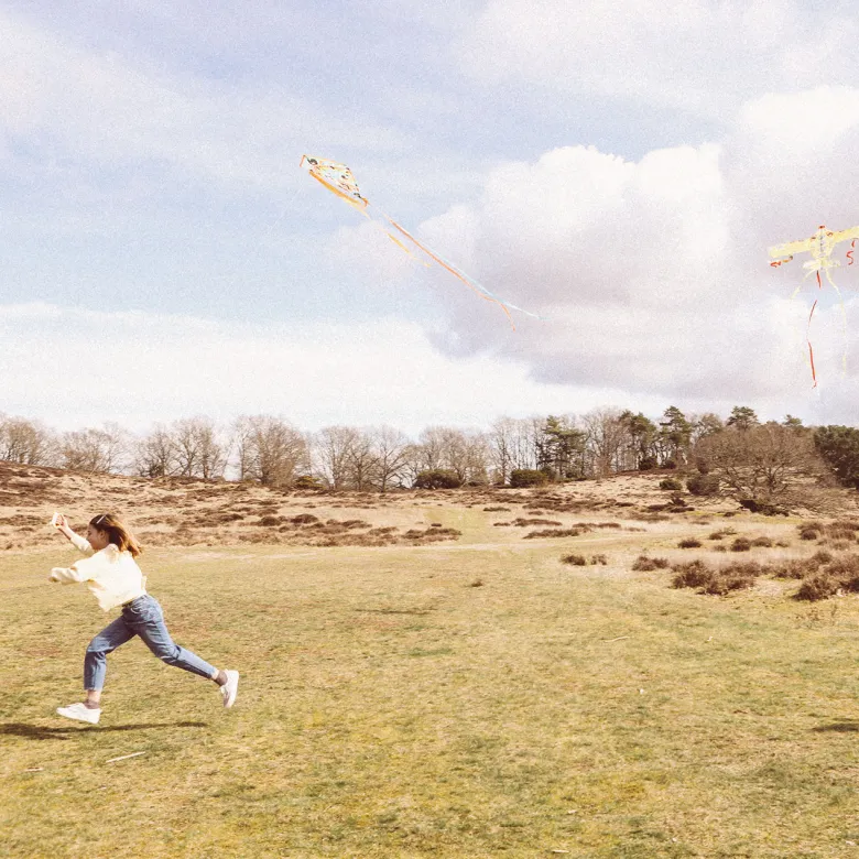 Djeco Kite, Kawaii