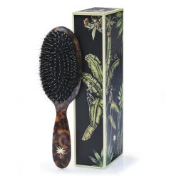 Fan Palm Premium Edition – Medium Brush with Boar and Nylon Bristles, Turtle Pattern