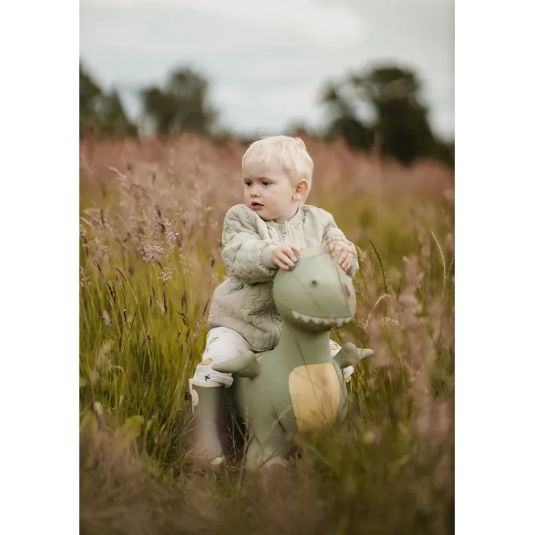 "Find That Hippo: Hoppedyr, Dinoen Dexter"