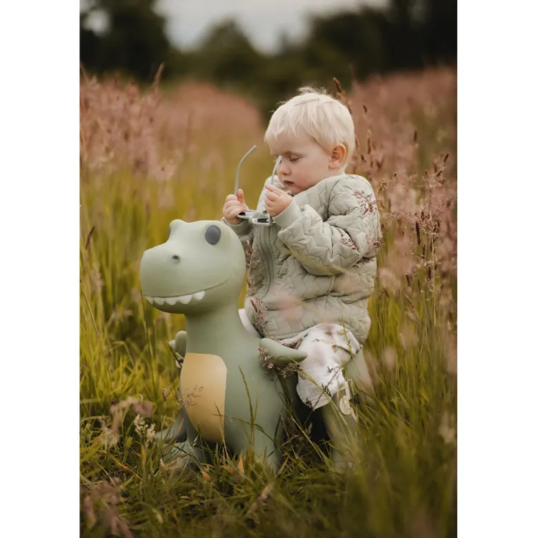 "Find That Hippo: Hoppedyr, Dinoen Dexter"