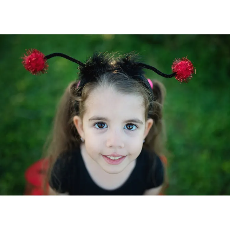 Great Pretenders Dress-Up Costume, Ladybug Set - Size 4-7 Years