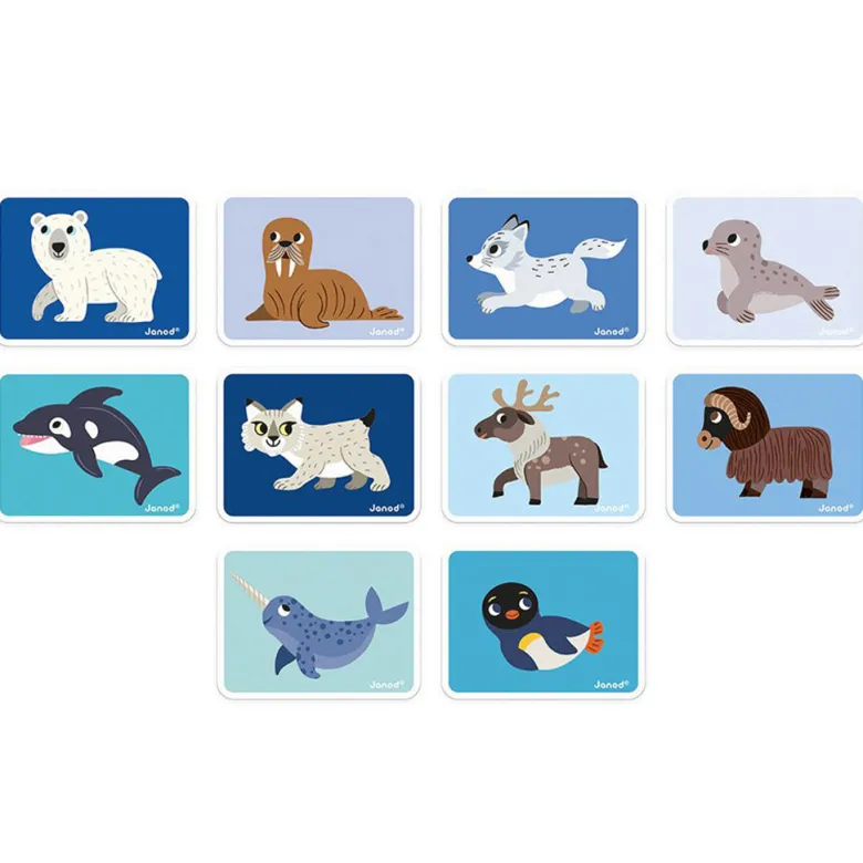 Janod Magnetic Book, 30 Pieces – Polar Animals