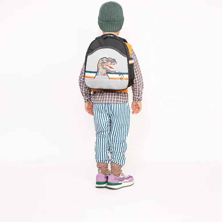"Jeune Premier Ralphie Backpack, Reflectosaurus - Ages 2-6"
