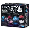 4M Crystal Growing Experiment Kit