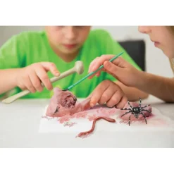 4M KidzLabs Experiment Set - Creepy Crawly Digging Kit