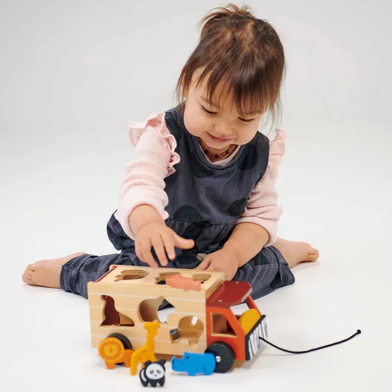 Mentari, Shape Sorting Box - Safari Truck