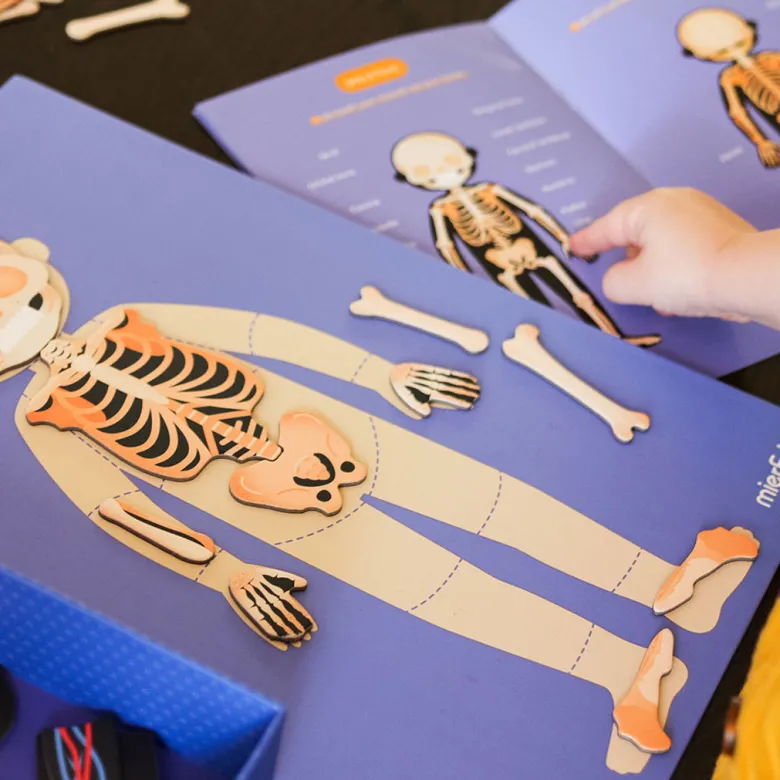 mierEdu, Magnetic Playset - Learn About the Body's Functions