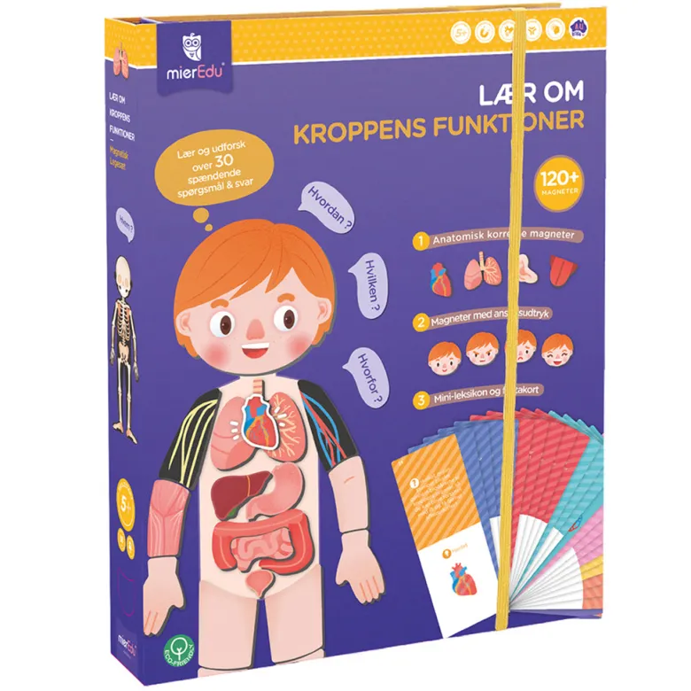 mierEdu, Magnetic Playset - Learn About the Body's Functions