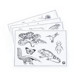 Moulin Roty Light-Up Drawing Board, Tout autour du monde
