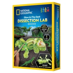 National Geographic, Gecko Dissection - Glow in the Dark