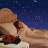 Night Lamp Creating a Starry Sky, Ladybug - Red