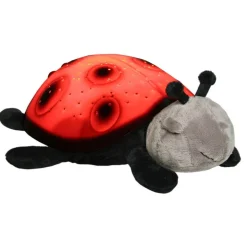 Night Lamp Creating a Starry Sky, Ladybug - Red