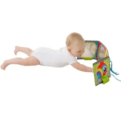 Playgro Activity Toy: Reversible Tummy Time Fabric Book with Mirror