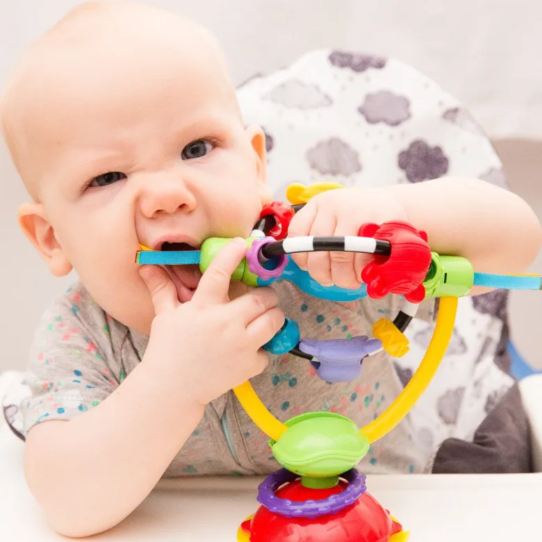 Playgro Activity Toy with Suction Cup