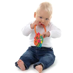 Playgro Baby Toy, Rattle with Teething Rings
