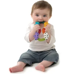 Playgro Baby Toy, Teething Rattle – Click and Twist