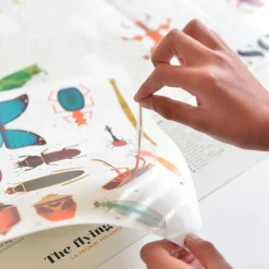 Poppik Paper Sticker Mosaic, Poster and 44 Stickers - Insects