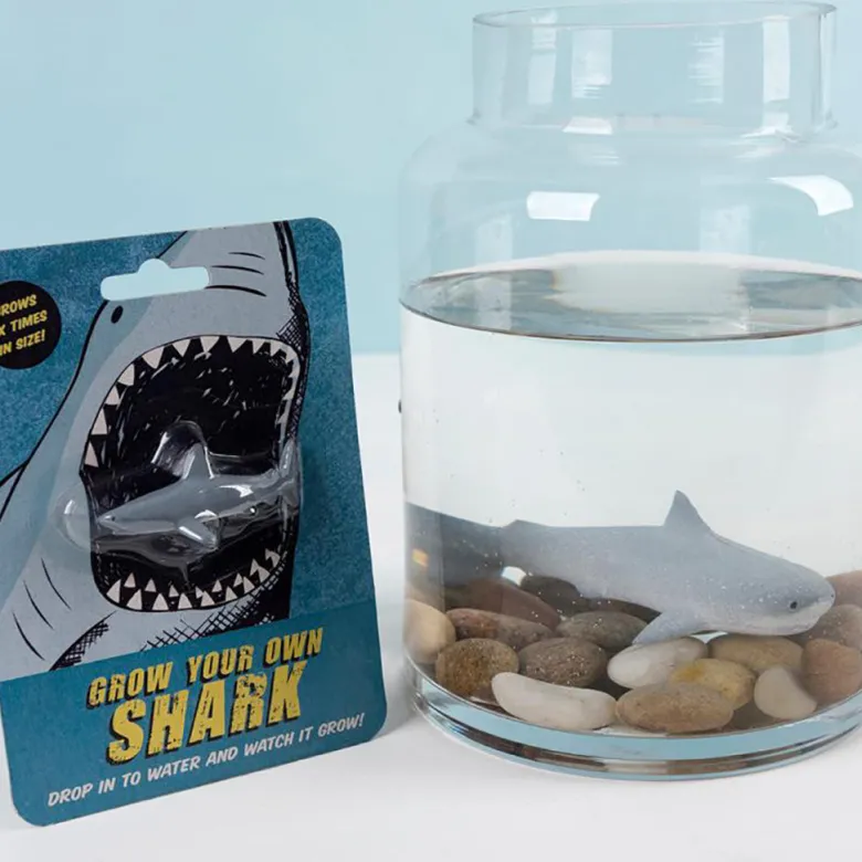 Rex London, Grow Your Own Magic Shark