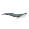 Schleich Blue Whale