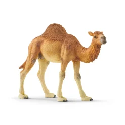 Schleich Dromedary