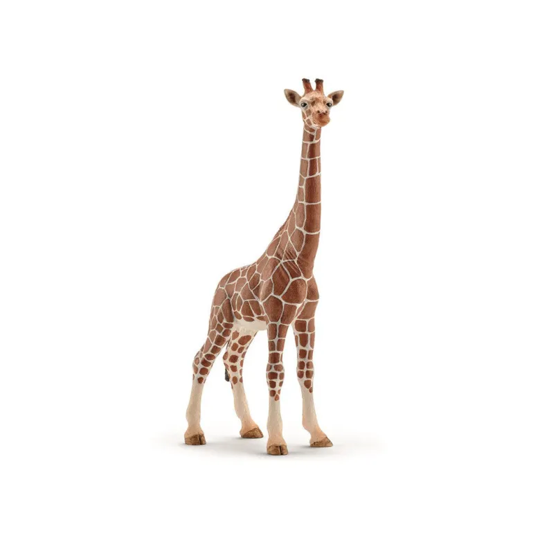 Schleich Giraffe