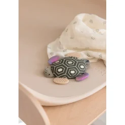 Sebra Activity Rattle with Mirror, Turbo the Turtle