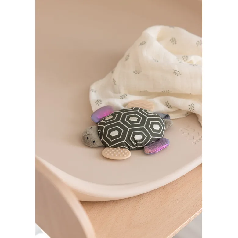 Sebra Activity Rattle with Mirror, Turbo the Turtle