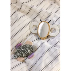 Sebra Activity Rattle with Mirror, Turbo the Turtle