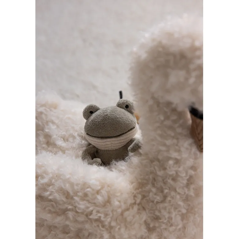 Sebra Activity Toy, Swan