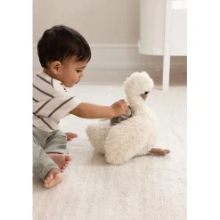 Sebra Activity Toy, Swan