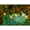 Sirius Tobias Supplement Set, Black Light String with 10 Clear LED Bulbs (Without Transformer)