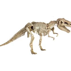 Spiegelburg Excavation Kit - T-Rex