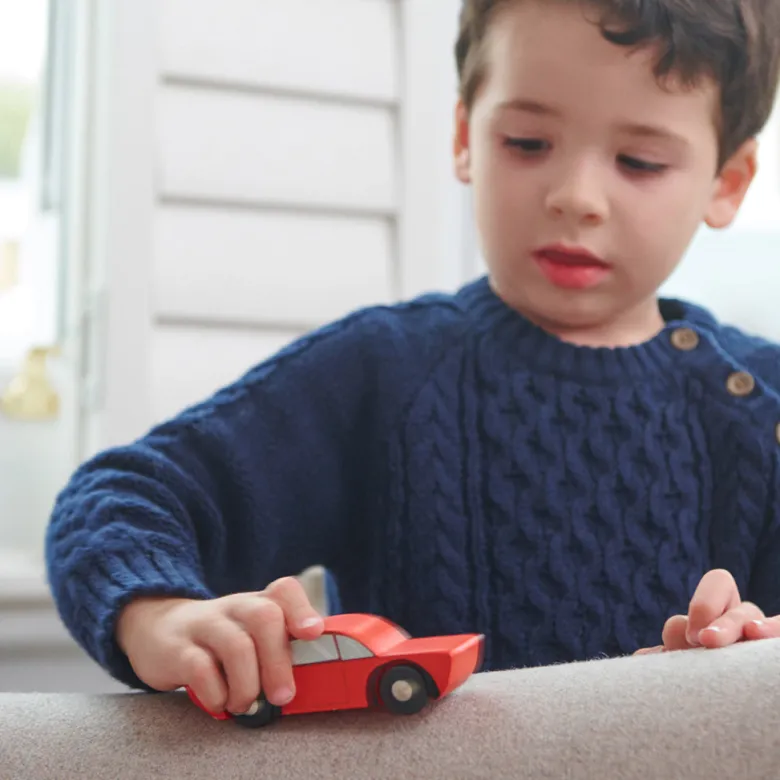 Tender Leaf, Set of 3 Retro Cars