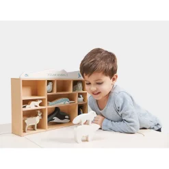 Tender Leaf, Wooden Animals in Box - 10 Arctic Animals