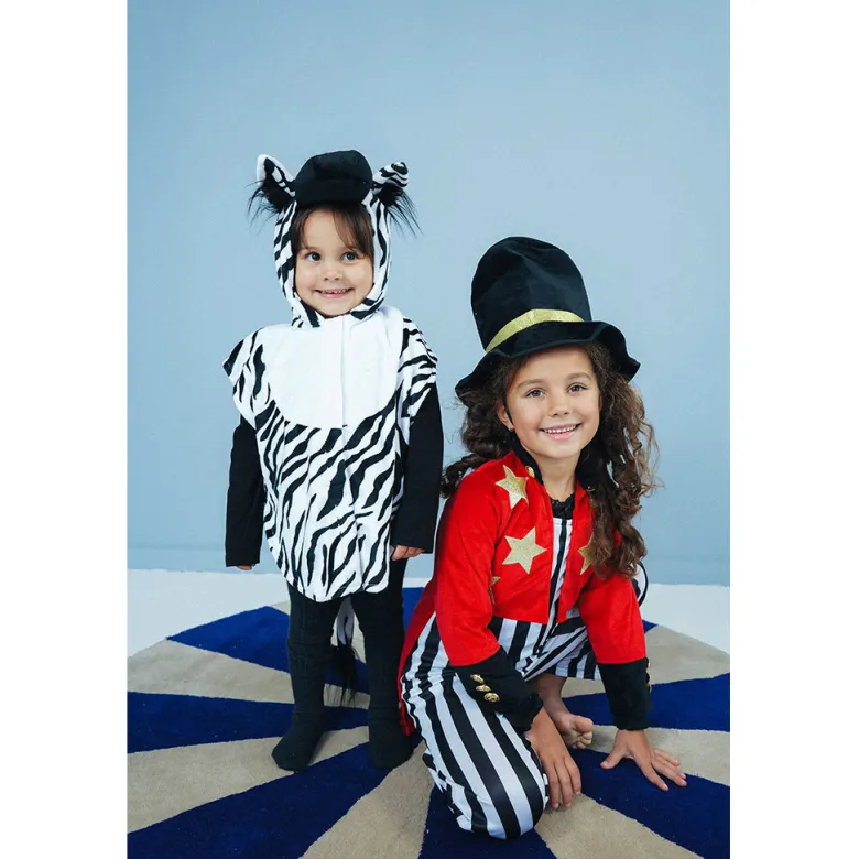 The Good Fairy Animal Costume, Zebra Size 1-4 Years