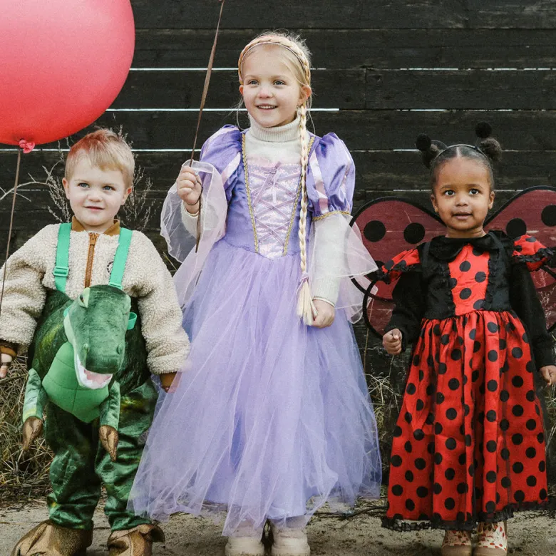 The Good Fairy, Princess Dress, Rapunzel - Sizes 2-8 Years