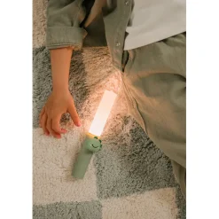 The ZooFamily, Zoo Light, Flashlight - Dino