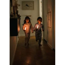 The ZooFamily, Zoo Light, Flashlight - Dino